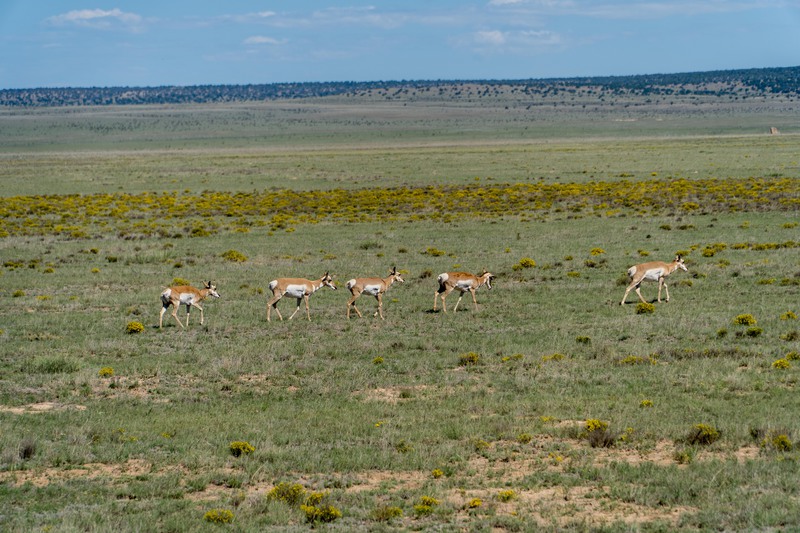 Rockhouse Springs Ranch