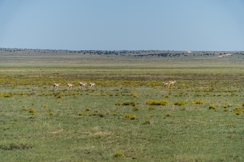 Rockhouse Springs Ranch