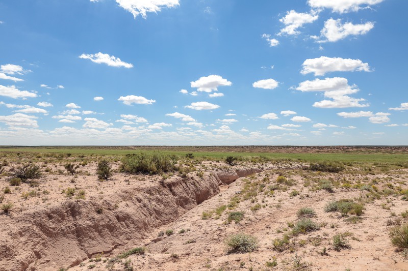 Rockhouse Springs Ranch