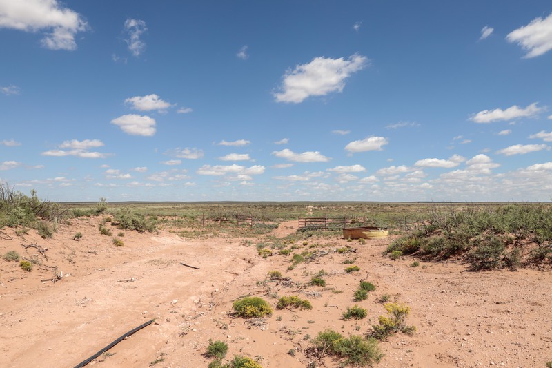 Rockhouse Springs Ranch