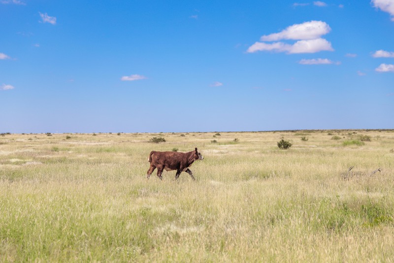 Rockhouse Springs Ranch