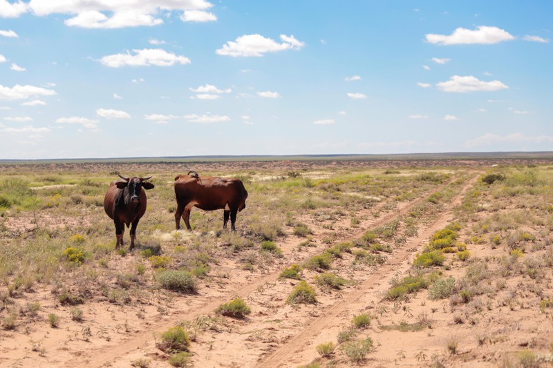 Rockhouse Springs Ranch