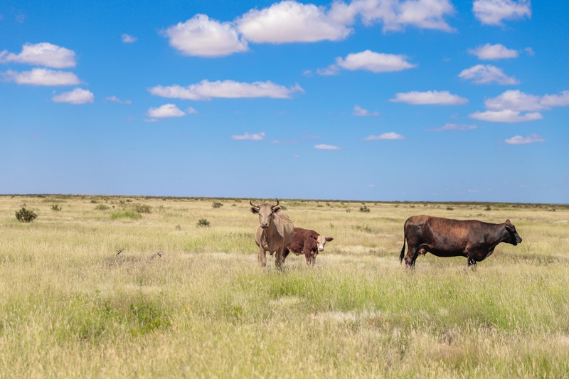 Rockhouse Springs Ranch