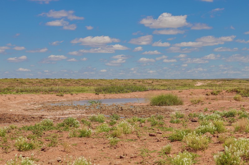 Rockhouse Springs Ranch