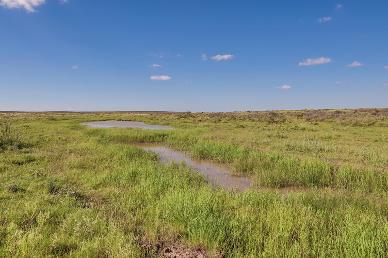 Rockhouse Springs Ranch