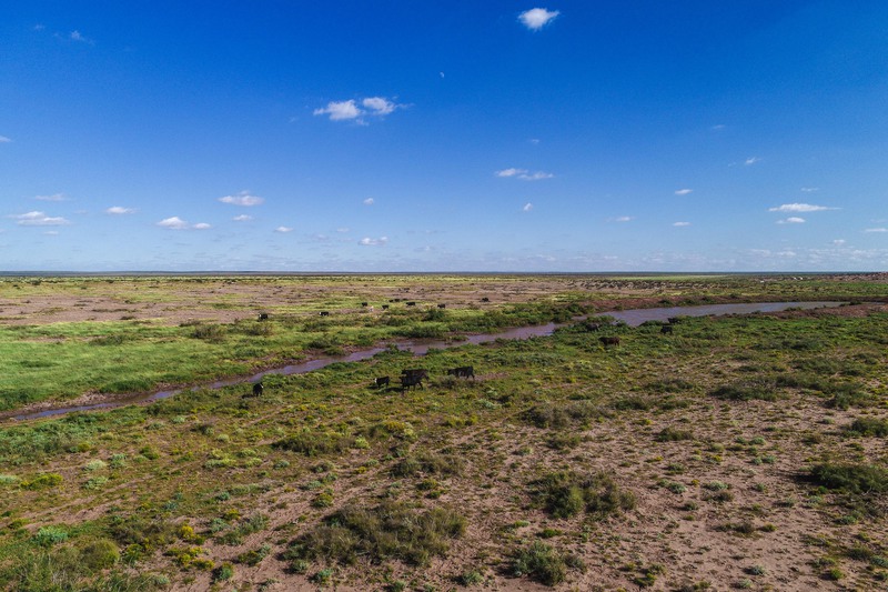 Rockhouse Springs Ranch