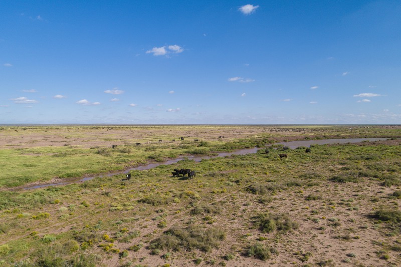 Rockhouse Springs Ranch