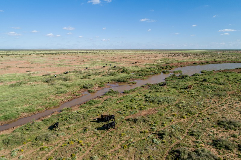 Rockhouse Springs Ranch