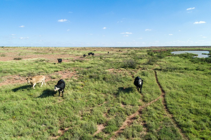 Rockhouse Springs Ranch