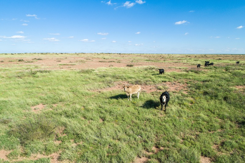 Rockhouse Springs Ranch