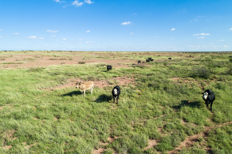 Rockhouse Springs Ranch