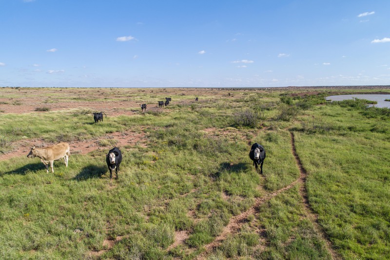 Rockhouse Springs Ranch