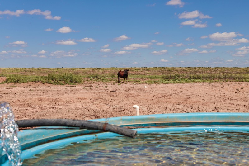 Rockhouse Springs Ranch