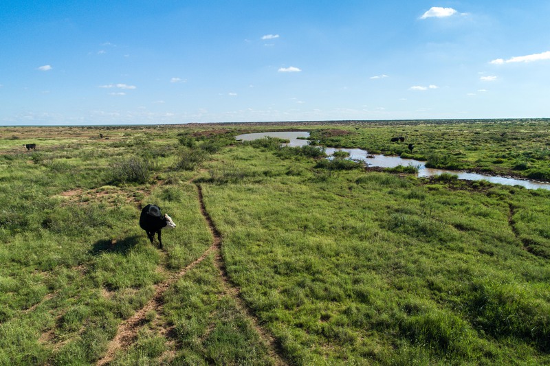 Rockhouse Springs Ranch