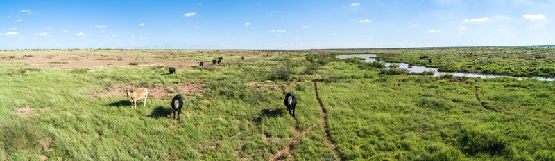 Rockhouse Springs Ranch