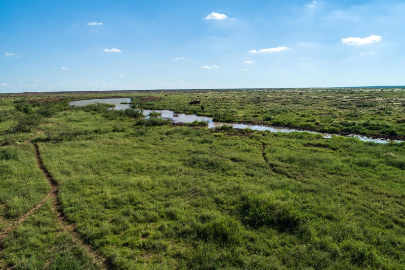 Rockhouse Springs Ranch