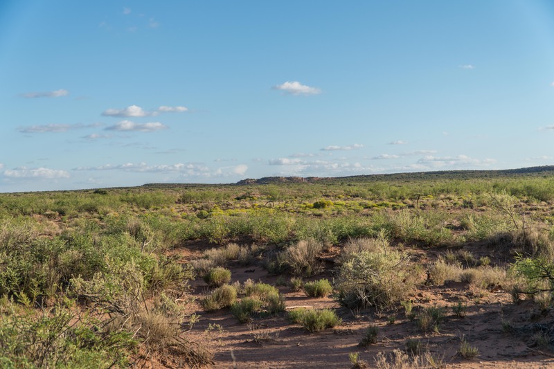 Rockhouse Springs Ranch