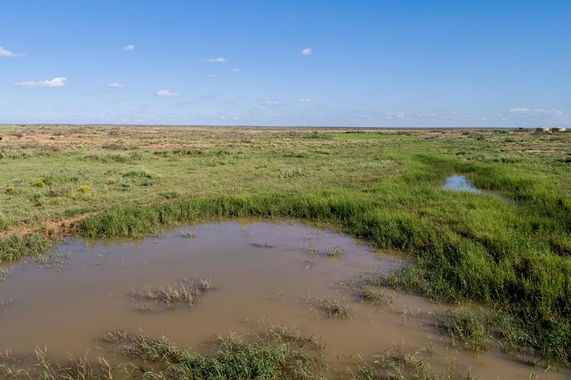 Rockhouse Springs Ranch