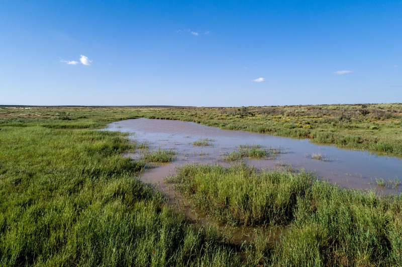 Rockhouse Springs Ranch