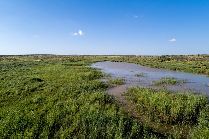 Rockhouse Springs Ranch