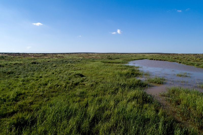 Rockhouse Springs Ranch