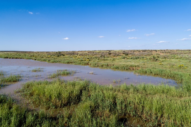 Rockhouse Springs Ranch