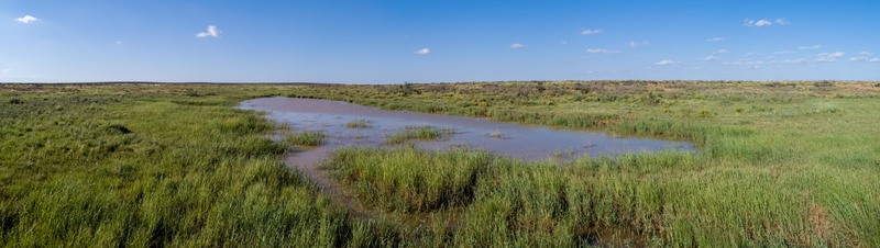 Rockhouse Springs Ranch