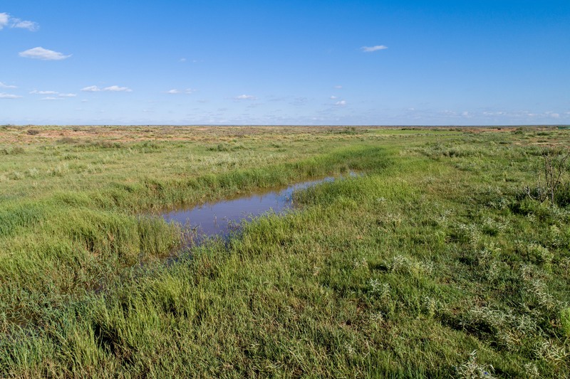 Rockhouse Springs Ranch