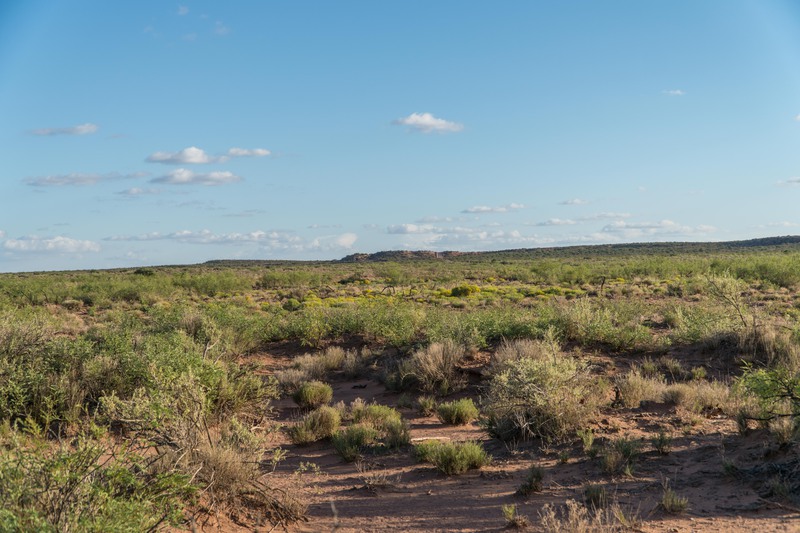 Rockhouse Springs Ranch