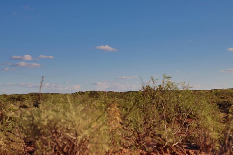 Rockhouse Springs Ranch