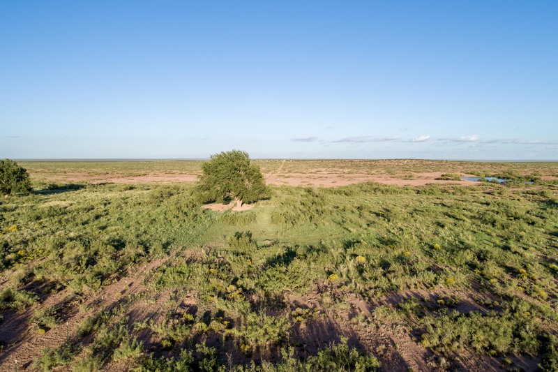 Rockhouse Springs Ranch