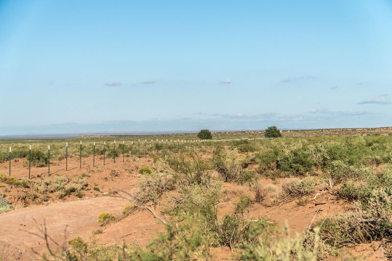 Rockhouse Springs Ranch