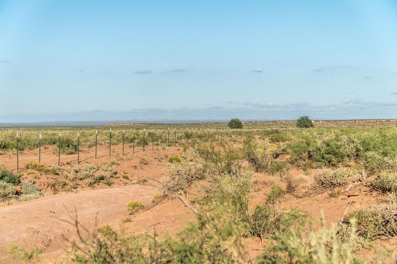 Rockhouse Springs Ranch