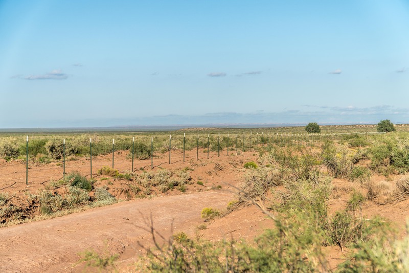 Rockhouse Springs Ranch