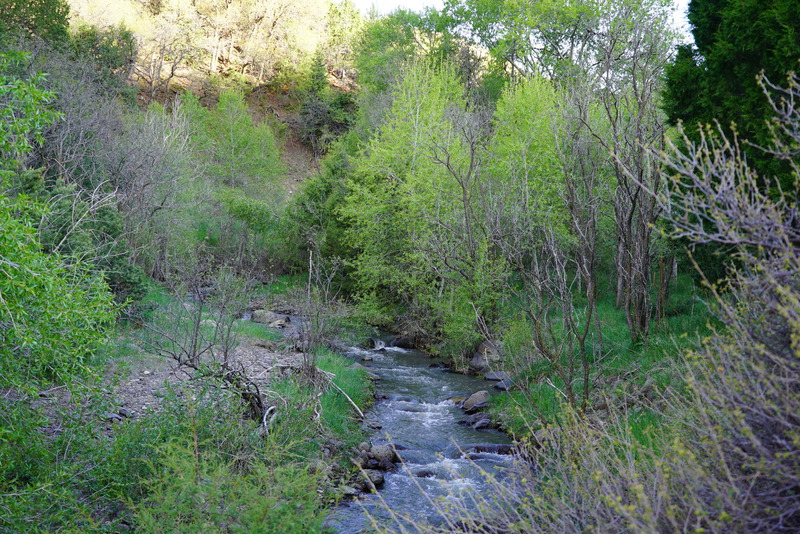 Hidden Lakes Ranch