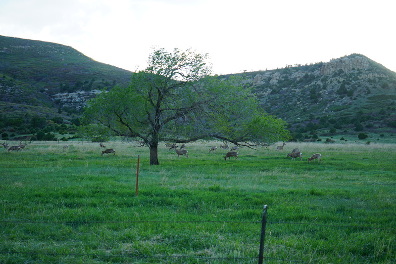 Hidden Lakes Ranch