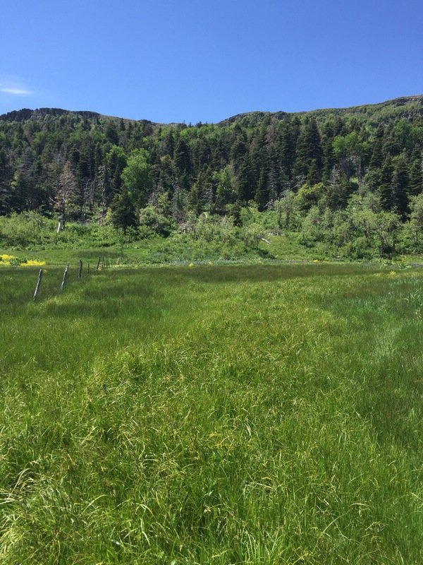 Hidden Lakes Ranch