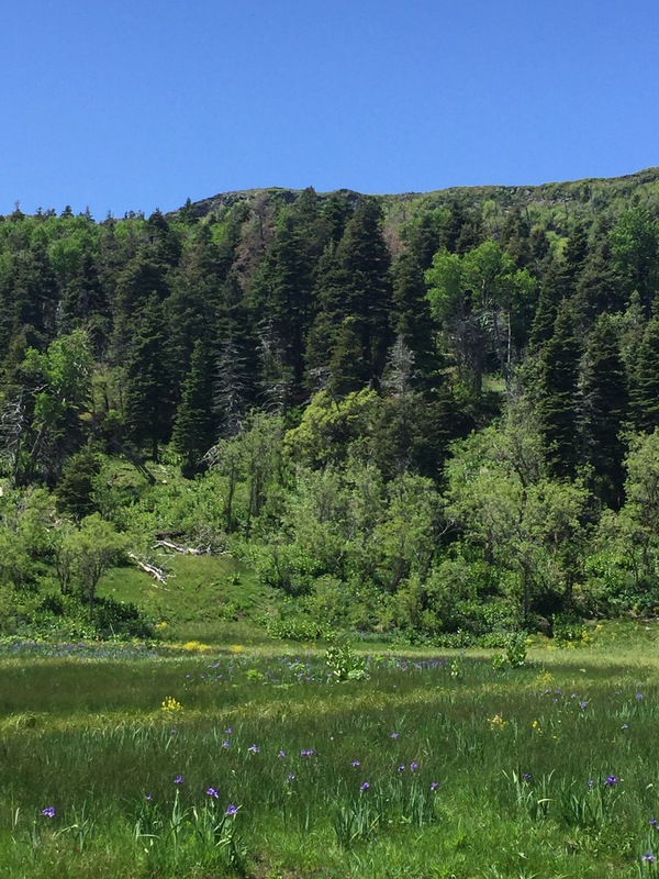 Hidden Lakes Ranch