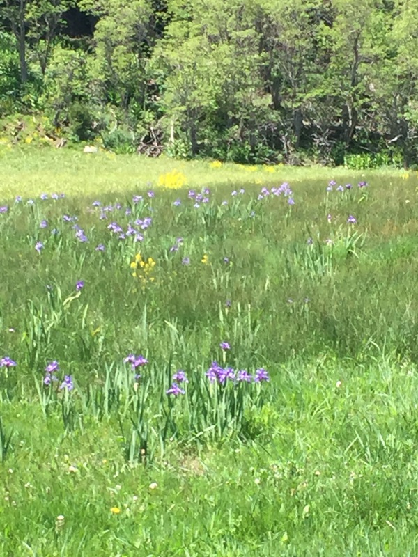 Hidden Lakes Ranch