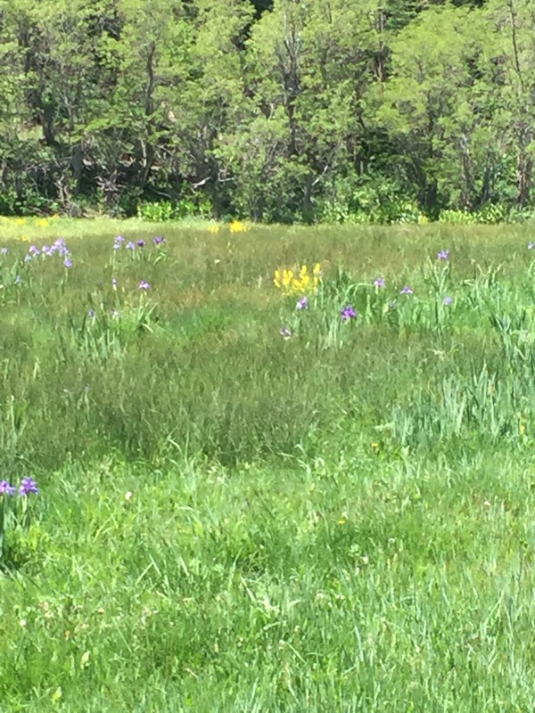 Hidden Lakes Ranch