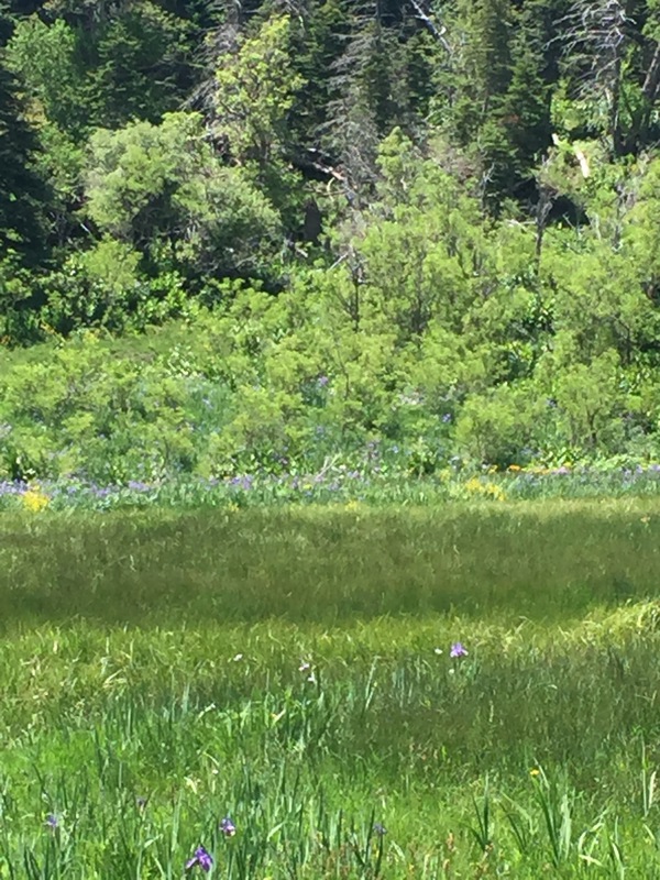 Hidden Lakes Ranch