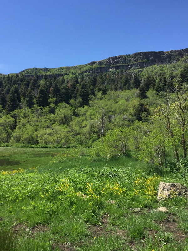 Hidden Lakes Ranch