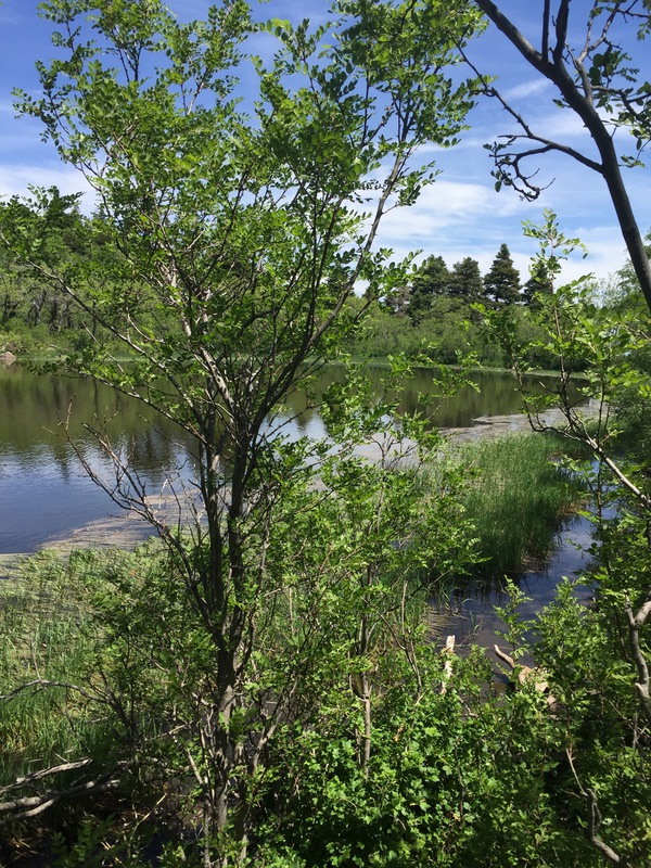 Hidden Lakes Ranch