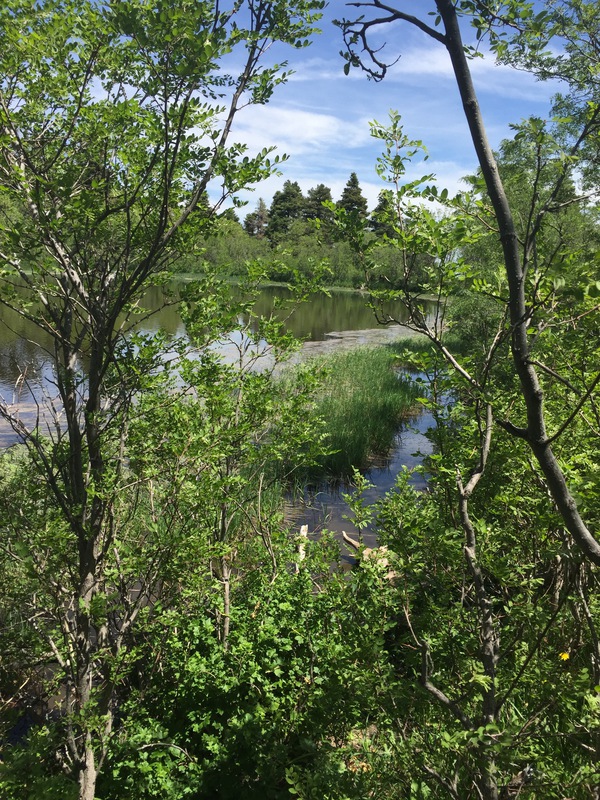 Hidden Lakes Ranch