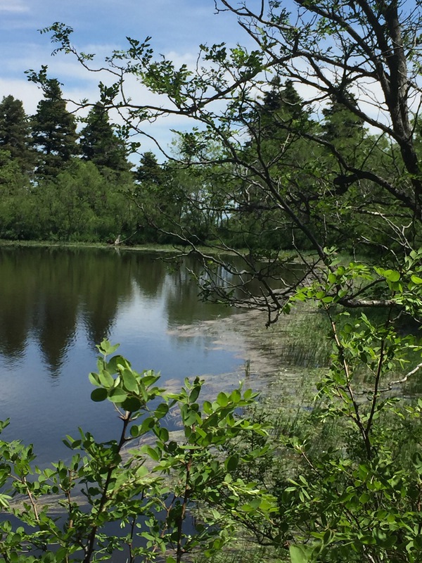 Hidden Lakes Ranch