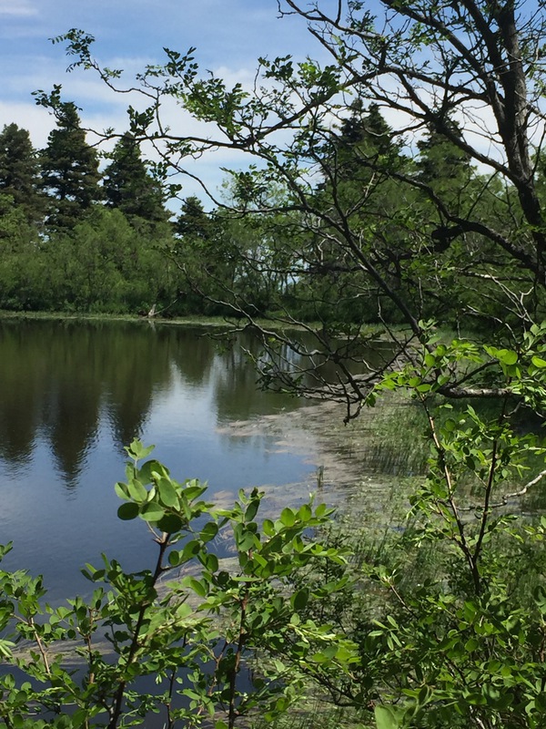 Hidden Lakes Ranch