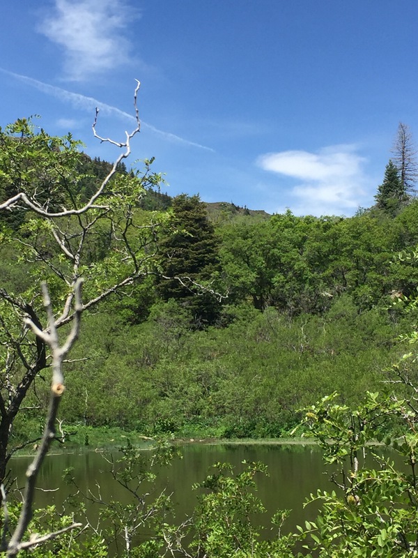 Hidden Lakes Ranch