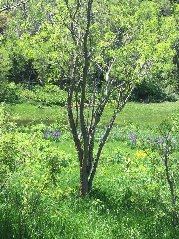 Hidden Lakes Ranch