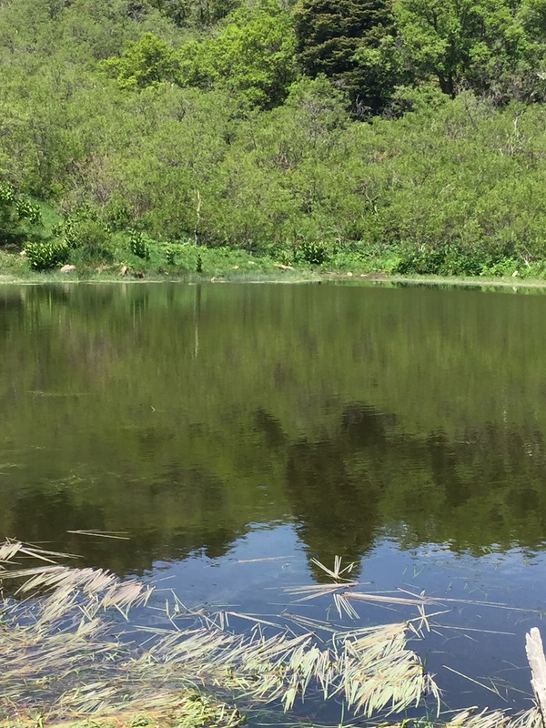 Hidden Lakes Ranch