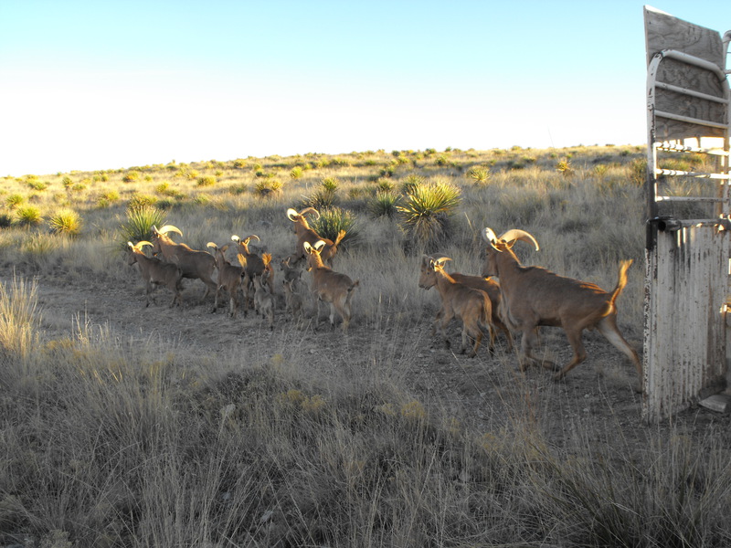 Felix River Ranch